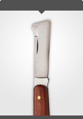 Okuliermesser mit poliertem Holzheft für Linkshänder Länge 10,5 cm