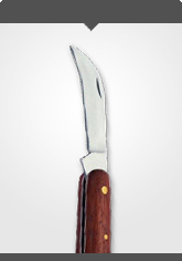 Kopuliermesser mit poliertem Holzheft Länge 10,5 cm